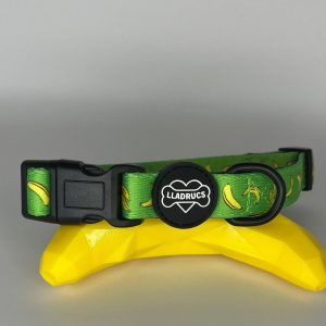 Pack Collar Platanet