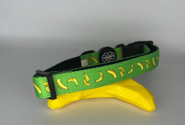 Collar Platanet - Imagen 3