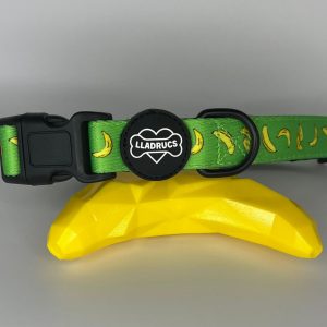 Collar Platanet