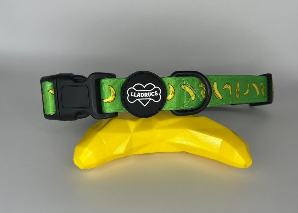 Collar Platanet