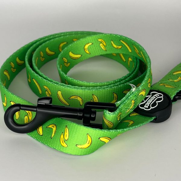 Pack Collar Platanet - Imagen 5