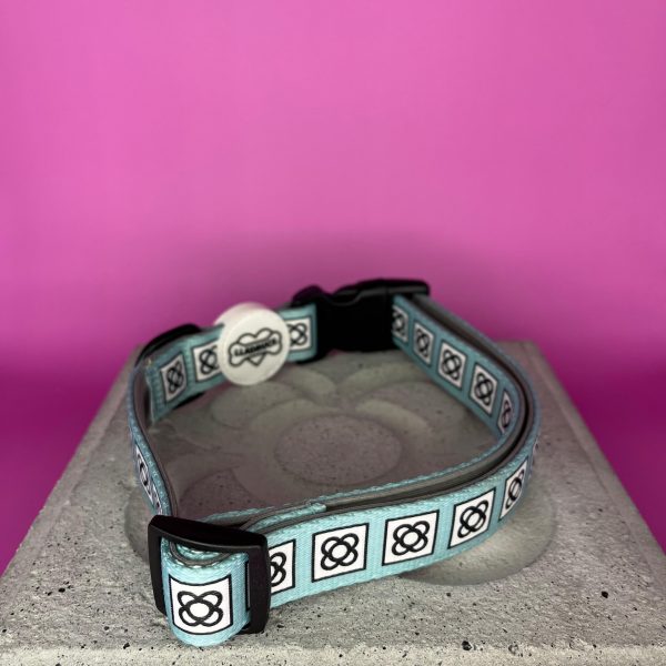 Pack Collar Panot BCN - Imagen 4