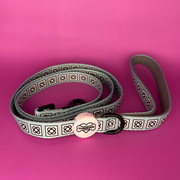 Pack Collar Panot BCN - Imagen 2
